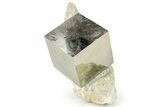 Natural Pyrite Cube In Rock - Navajun, Spain #227617-1
